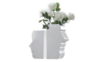 Face Vase (7)