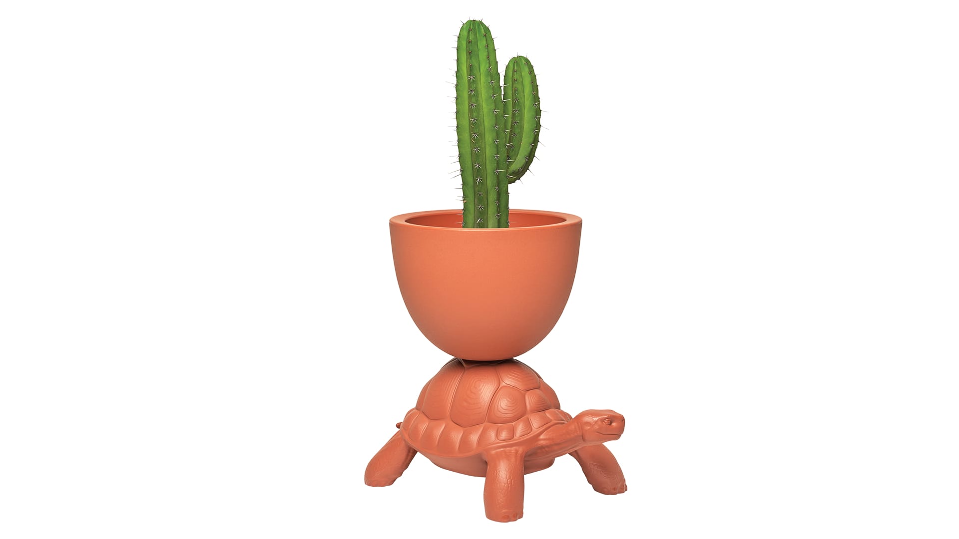 Turtle Planter 01 (Website)