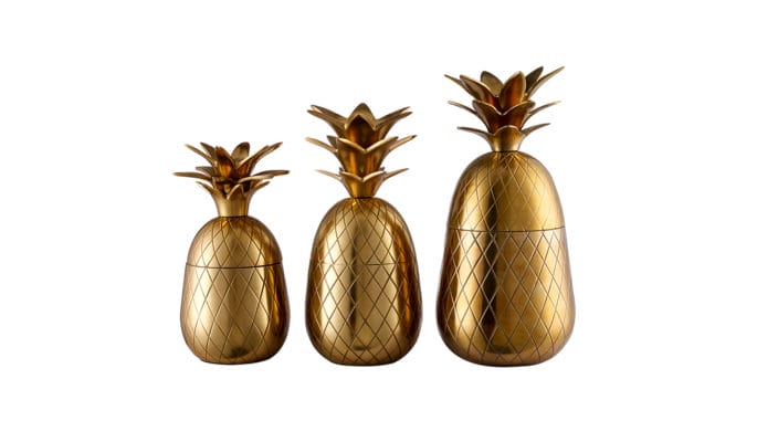 Pineapple 01
