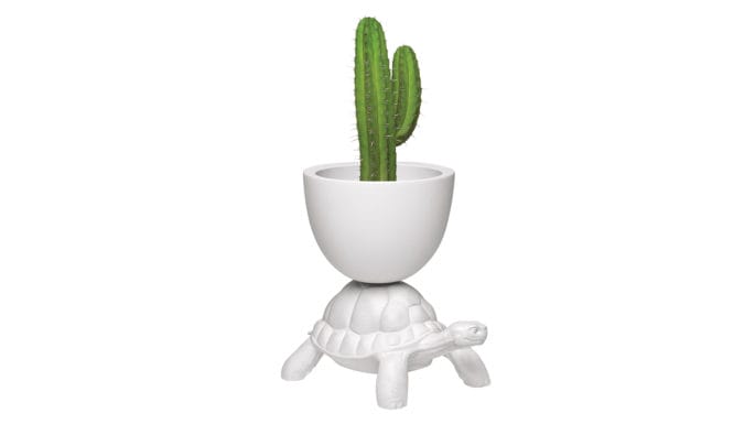 Turtle Planter 00 Website