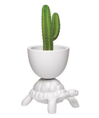 Turtle Planter 01