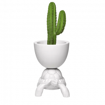 Turtle Carry Planter and Champagne Cooler 02