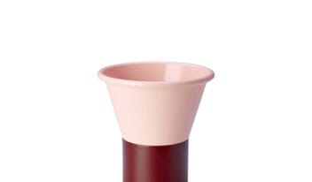 scab_mimosa_vaso_01