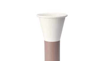 scab_mimosa_vaso_03