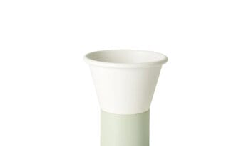 scab_mimosa_vaso_05